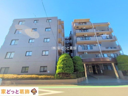 ���n�O�ώʐ^ �B�e��(2025-12-18 00:00:00)