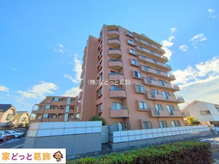 ���n�O�ώʐ^ �B�e��(2025-01-28 00:00:00)