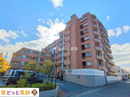 ���n�O�ώʐ^ �B�e��(2025-01-28)