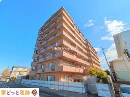 ���n�O�ώʐ^ �B�e��(2025-01-28 00:00:00)