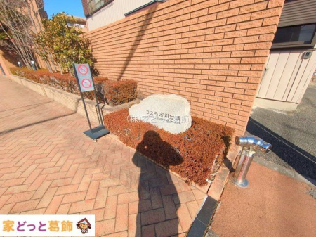 �G���g�����X �B�e��(2025-01-28 00:00:00)