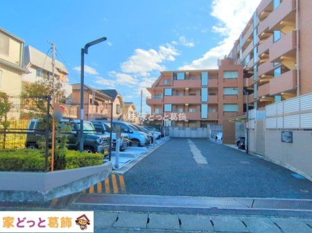 ���n�O�ώʐ^ �B�e��(2025-01-28 00:00:00)