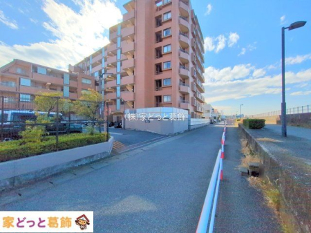 ���n�O�ώʐ^ �B�e��(2025-01-28 00:00:00)