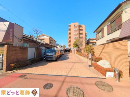 ���n�O�ώʐ^ �B�e��(2025-01-28 00:00:00)