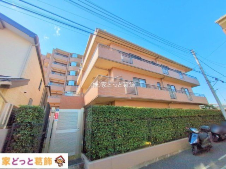 ���n�O�ώʐ^ �B�e��(2025-01-28 00:00:00)