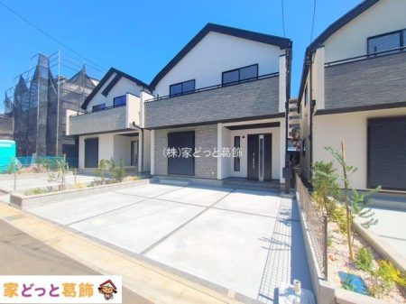 ���n�O�ώʐ^ �B�e��(2025-08-15 00:00:00)