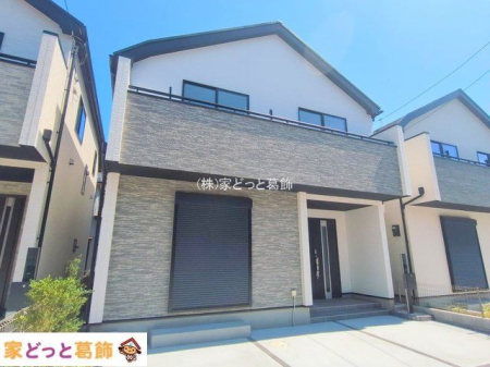 ���n�O�ώʐ^ �B�e��(2025-08-15 00:00:00)