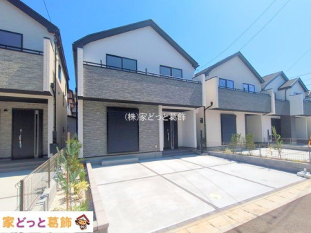 ���n�O�ώʐ^ �B�e��(2025-08-15)