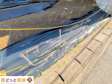 ���n�y�n�ʐ^ �B�e��(2025-03-10 00:00:00)