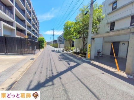 ���n�O�ώʐ^ �B�e��(2025-09-06 00:00:00)