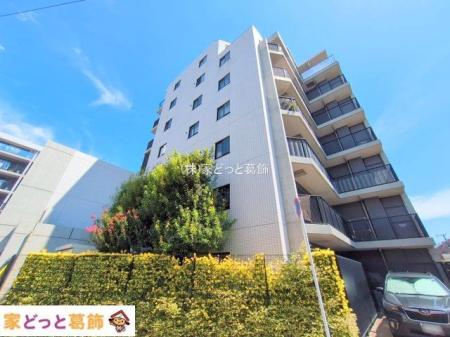 ���n�O�ώʐ^ �B�e��(2025-09-06 00:00:00)