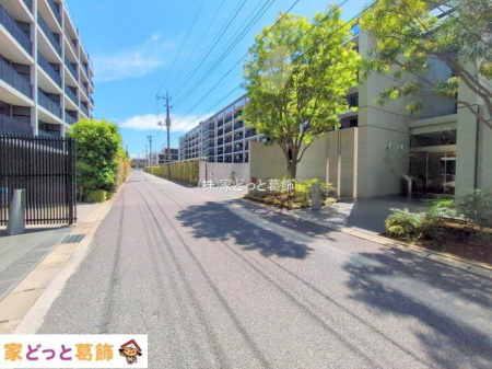 ���n�O�ώʐ^ �B�e��(2025-09-06 00:00:00)