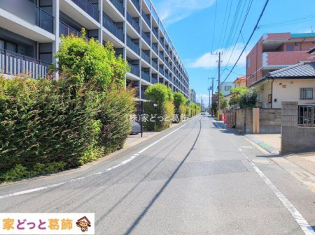 ���n�O�ώʐ^ �B�e��(2025-09-06 00:00:00)