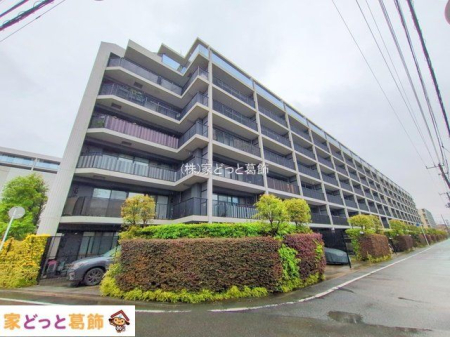 ���n�O�ώʐ^ �B�e��(2025-06-03 00:00:00)