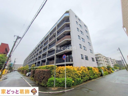 ���n�O�ώʐ^ �B�e��(2025-06-03 00:00:00)