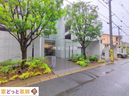 �G���g�����X �B�e��(2025-06-03 00:00:00)