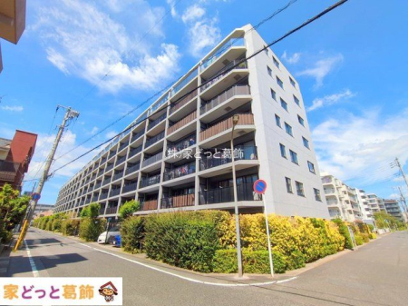 ���n�O�ώʐ^ �B�e��(2025-09-06)