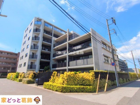 ���n�O�ώʐ^ �B�e��(2025-09-06 00:00:00)