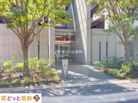 �G���g�����X �B�e��(2025-09-06 00:00:00)