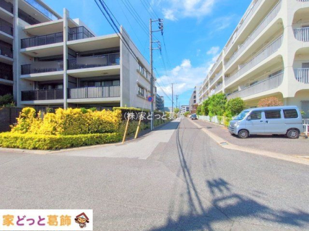 ���n�O�ώʐ^ �B�e��(2025-09-06 00:00:00)