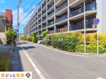 ���n�O�ώʐ^ �B�e��(2025-09-06 00:00:00)