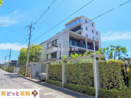 ���n�O�ώʐ^ �B�e��(2025-09-06 00:00:00)