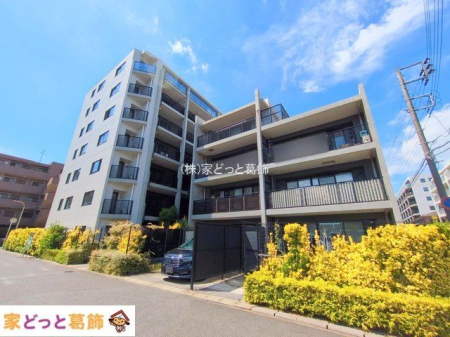 ���n�O�ώʐ^ �B�e��(2025-09-06 00:00:00)