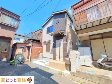 ���n�O�ώʐ^ �B�e��(2025-07-24 00:00:00)