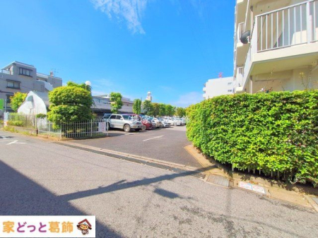 ���n�O�ώʐ^ �B�e��(2025-06-04 00:00:00)