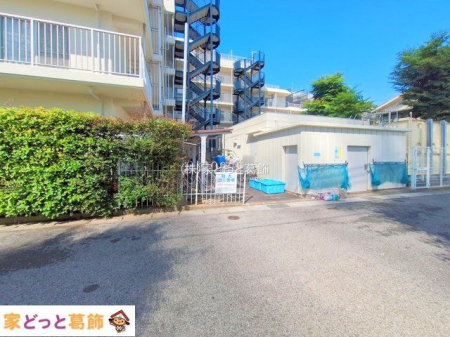 ���n�O�ώʐ^ �B�e��(2025-06-04 00:00:00)