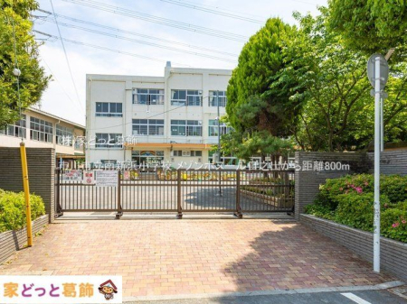 ���ӊ� �s��s����V�l���w�Z �B�e��(2022-05-18) 800m