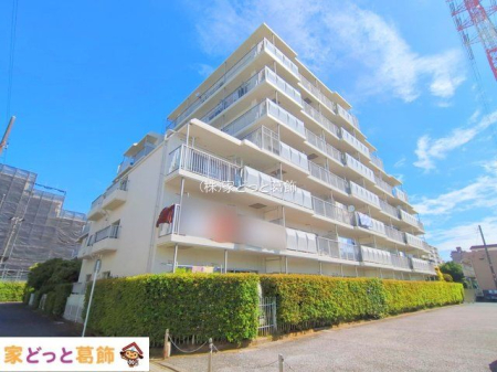 ���n�O�ώʐ^ �B�e��(2025-06-04)