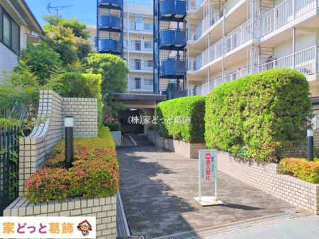 �G���g�����X �B�e��(2025-06-04)