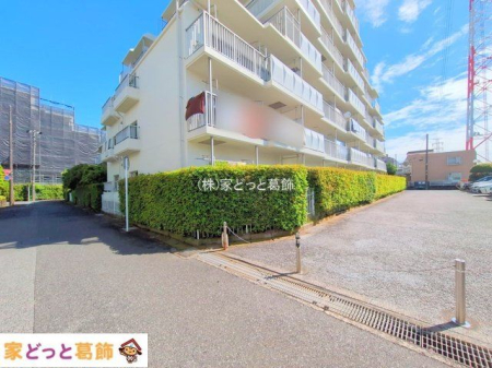 ���n�O�ώʐ^ �B�e��(2025-06-04 00:00:00)