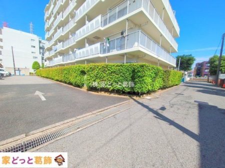 ���n�O�ώʐ^ �B�e��(2025-06-04 00:00:00)