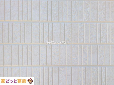 ���n�O�ώʐ^ �B�e��(2025-10-08 00:00:00)