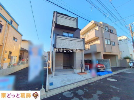 ���n�O�ώʐ^ �B�e��(2025-11-26 00:00:00)