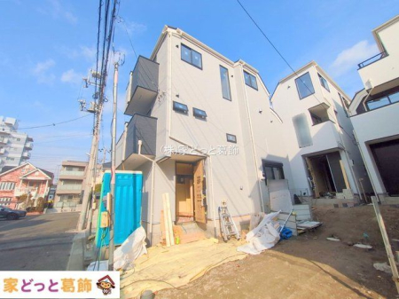 ���n�O�ώʐ^ �B�e��(2025-12-02 00:00:00)