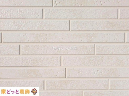 ���n�O�ώʐ^ �B�e��(2025-11-19 00:00:00)