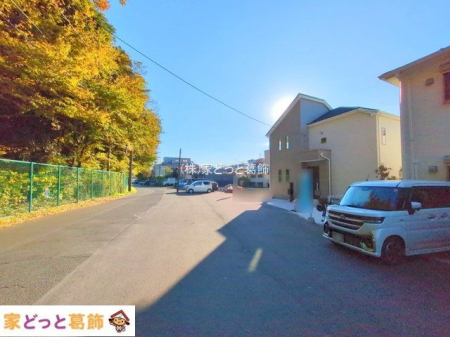 ���n�O�ώʐ^ �B�e��(2025-11-19 00:00:00)