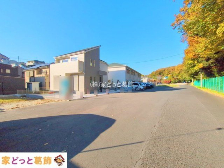 ���n�O�ώʐ^ �B�e��(2025-11-19)