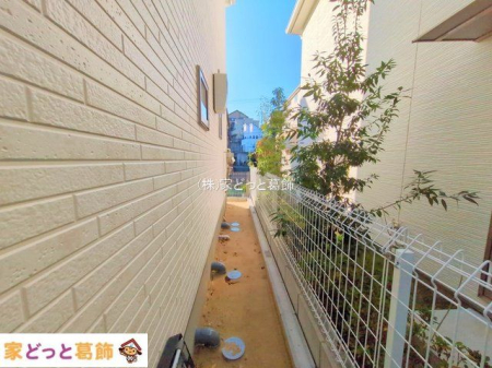 ���n�O�ώʐ^ �B�e��(2025-11-19 00:00:00)