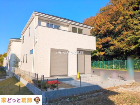 ���n�O�ώʐ^ �B�e��(2025-11-19 00:00:00)