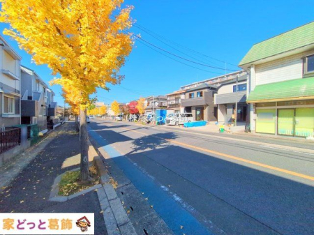 ���n�O�ώʐ^ �B�e��(2025-11-17 00:00:00)