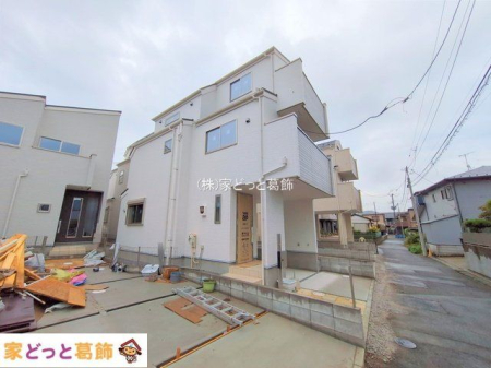 ���n�O�ώʐ^ �B�e��(2025-10-01)