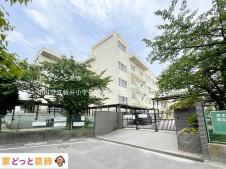 ���ӊ� �s��s���V�䏬�w�Z �B�e��(2024-06-06) 550m