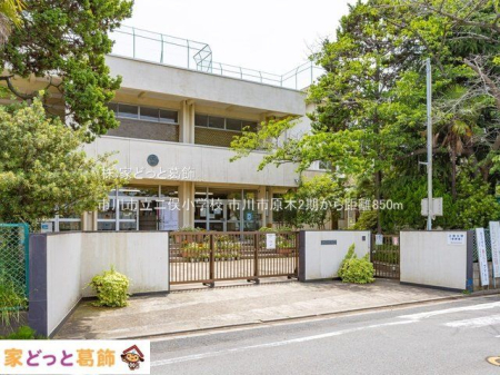 ���ӊ� �s��s���񖓏��w�Z �B�e��(2022-06-01) 850m