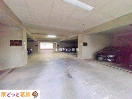 ���n�O�ώʐ^ �B�e��(2025-10-27 00:00:00)