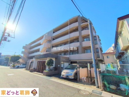 ���n�O�ώʐ^ �B�e��(2025-11-17 00:00:00)