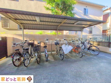 ���n�O�ώʐ^ �B�e��(2025-11-17 00:00:00)